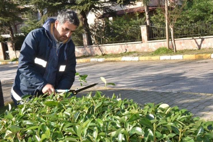 Karesi Küçük Dokunuşlarla Güzelleşiyor