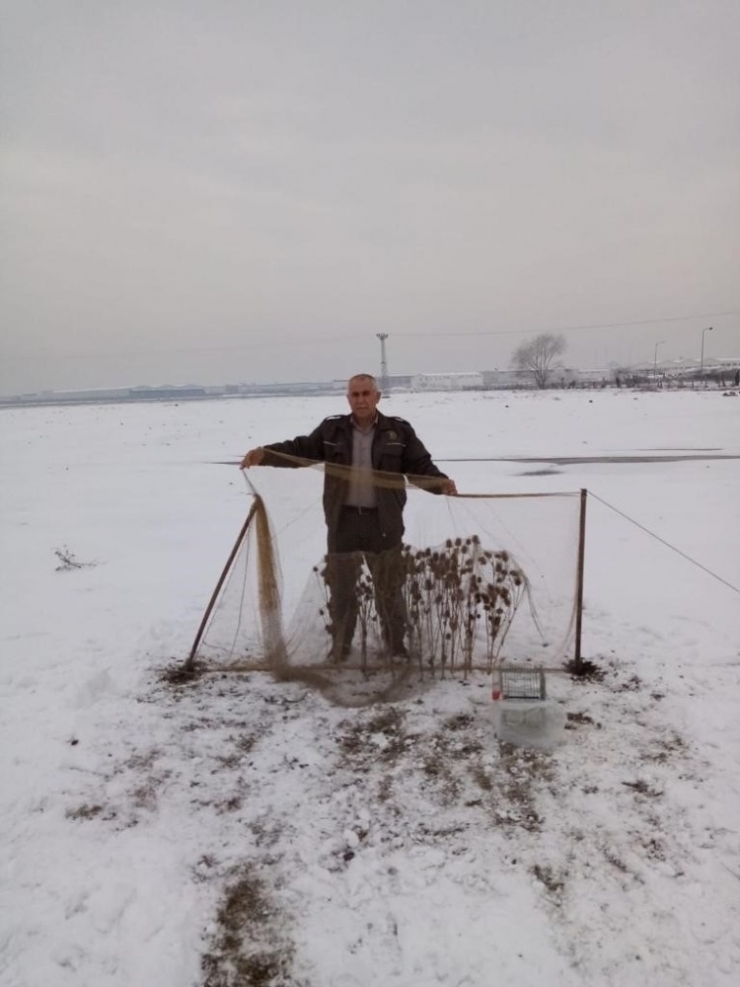 Saka Avcılarına Suçüstü