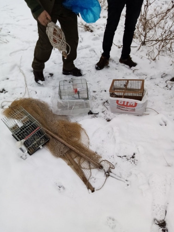 Saka Avcılarına Suçüstü