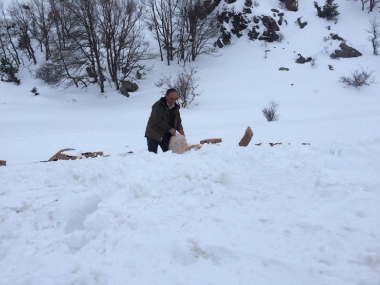 Doğa Koruma Ve Milli Parklar Şube Müdürlüğü’nden Yaban Hayatına Yem Desteği