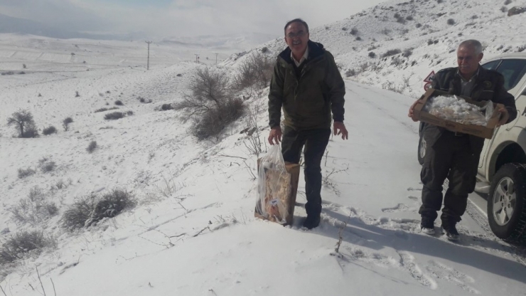 Doğa Koruma Ve Milli Parklar Şube Müdürlüğü’nden Yaban Hayatına Yem Desteği