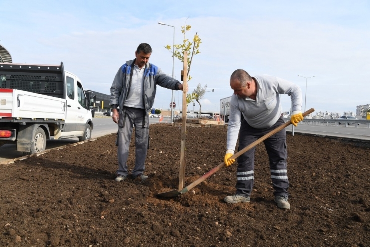 Sarısu Mahallesi’ne 15 Bin Metrekare Peyzaj