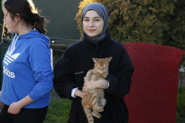 Ordu’da Her Okula Bir Hayvan Sahiplendiriliyor