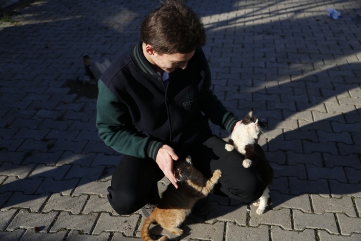 Ordu’da Her Okula Bir Hayvan Sahiplendiriliyor