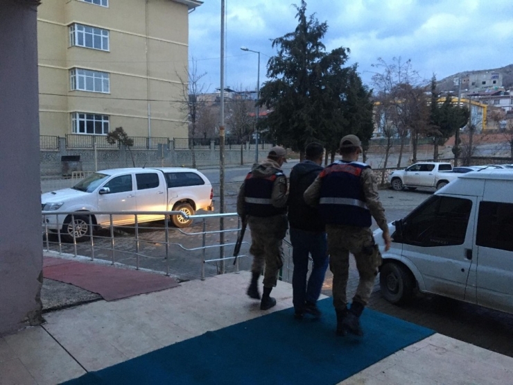 Siirt’te Küçükbaş Hayvan Hırsızları Tutuklandı