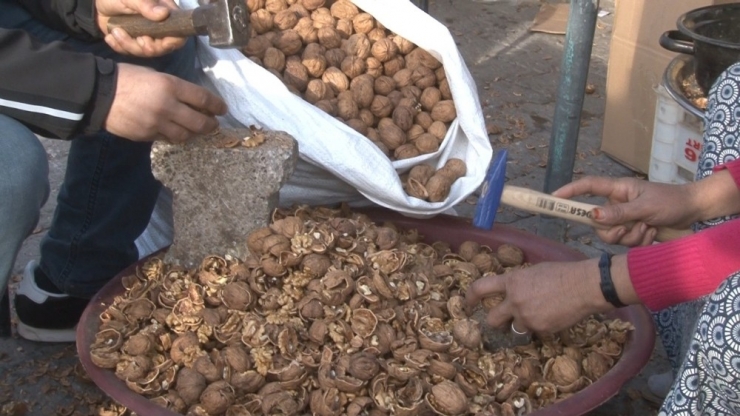 Cevizleri Kırıp Aile Geçimine Katkıda Bulunuyorlar