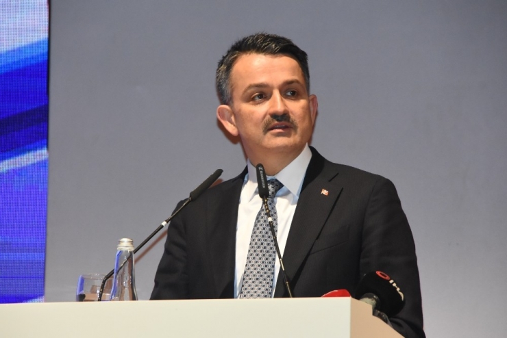 Bakan Pekcan’dan Gümrük Birliği Anlaşması Açıklaması