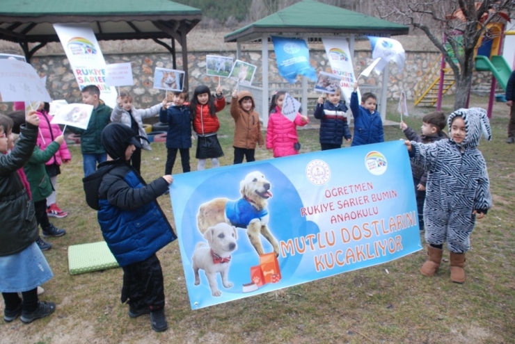 Okullar Terkedilmiş Köpeklerin Yuvası Oldu