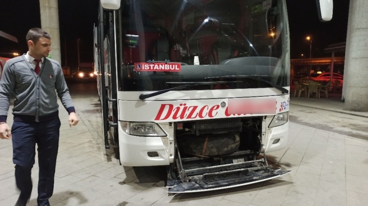 Yolcu Otobüsünde Valizden Kaçan Piton Paniğe Neden Oldu