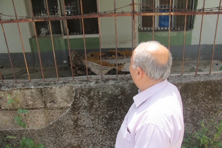 Mahkeme, Köpeğin Bulduğu Altınlar İçin Kararını Verdi