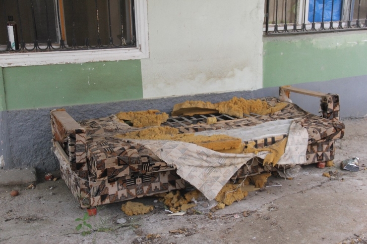 Mahkeme, Köpeğin Bulduğu Altınlar İçin Kararını Verdi