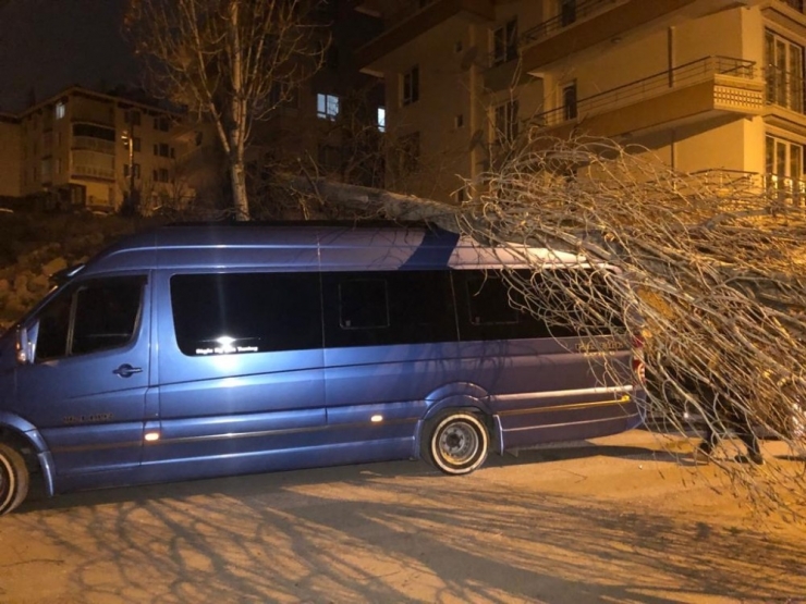Başkent’te Ağaç Minibüsün Üstüne Devrildi