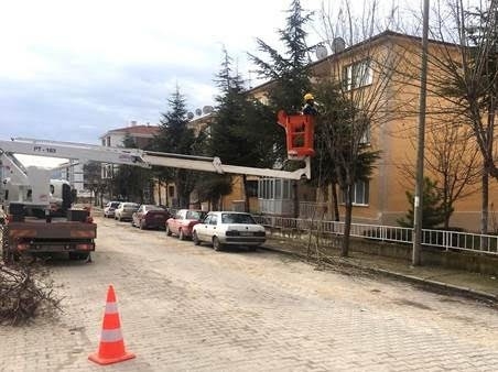 Daha Yeşil Bir Odunpazarı İçin Çalışıyorlar