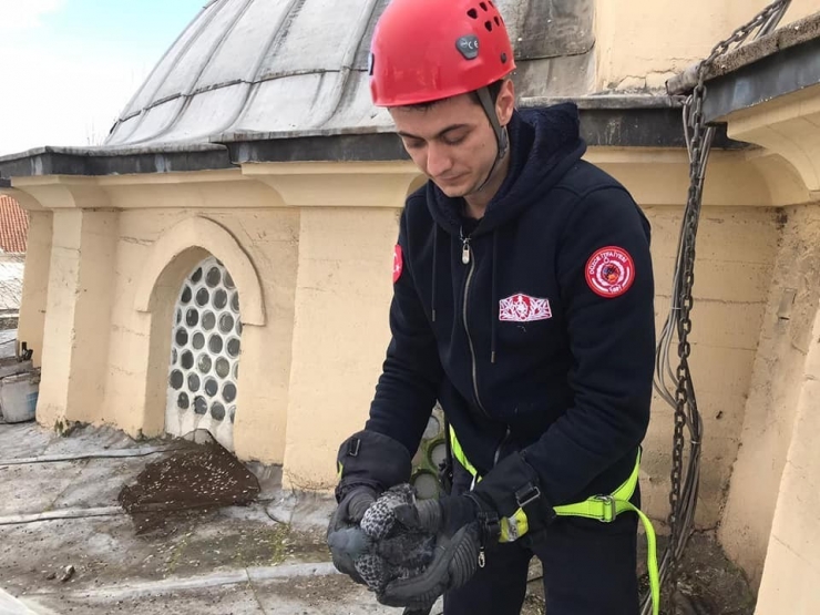 Güvercin İçin İtfaiye Ekipleri Seferber Oldu
