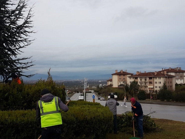 Park Ve Bahçeler Ekipleri Çalışıyor