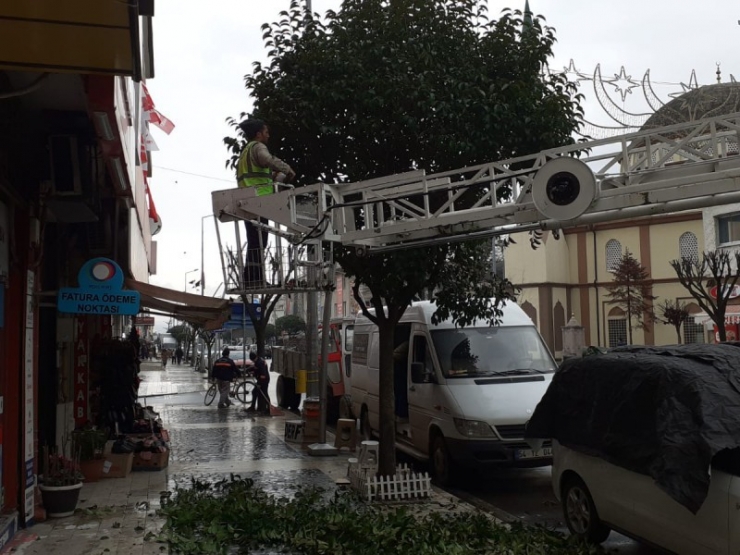 Park Ve Bahçeler Ekipleri Çalışıyor