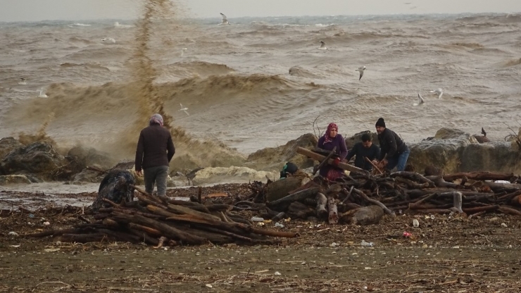 Selde Kütük Kapma Yarışı