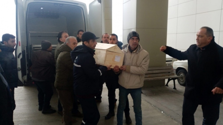 Uçak Kazasında Ölen Tekirdağlı Genç Diş Hekiminin Memleketinde Yas Var