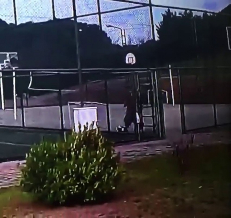 İstanbul’da Köpeği Defalarca Tekmeleyen Şahıs Kamerada