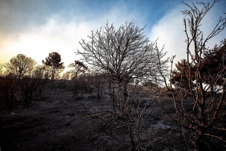 Yangınlarda Başrol Sigaranın