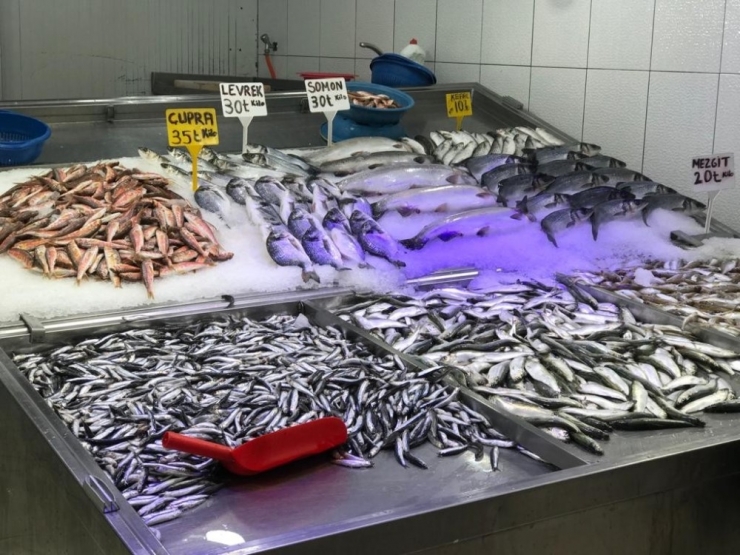 Balıkçıların Yüzünü Hamsi Güldürdü