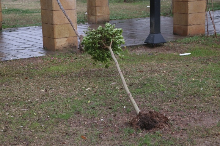 Mersin’de Dev Dalgalar Korkuttu