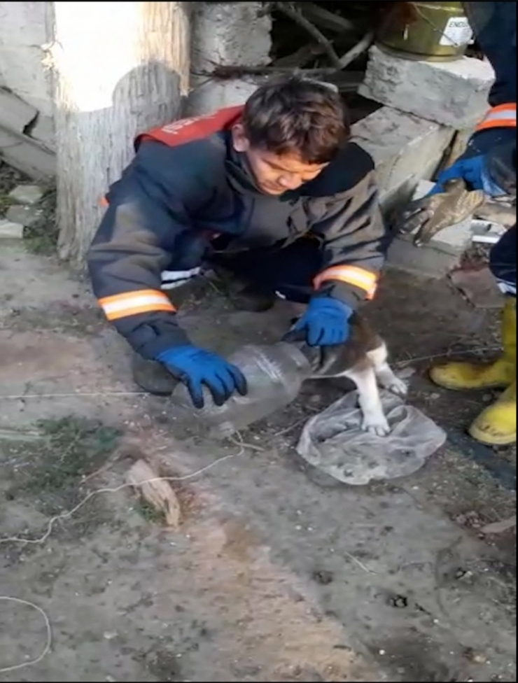 Başını Plastik Bidona Sıkıştıran Yavru Köpeği İtfaiye Kurtardı