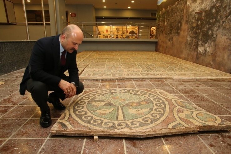 1800 Yıllık Elmalı Mozaik Amasya’nın Sembollerinden Biri Olacak