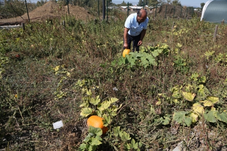 Erdem: “Nilüfer’deki Nüfus Artışı Korkutuyor”