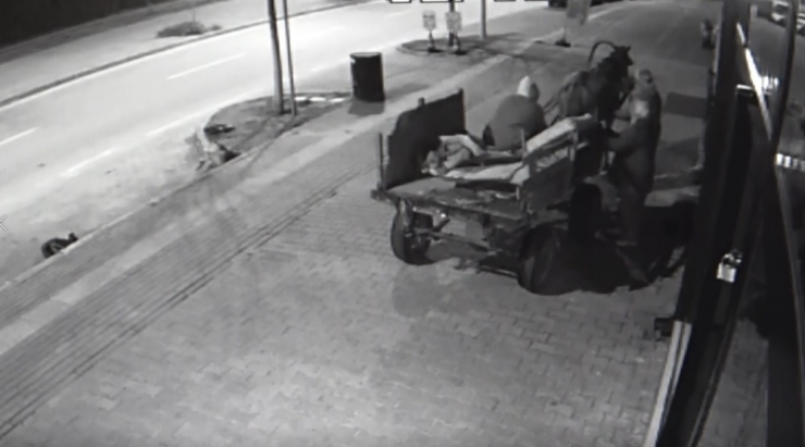 At Arabalı Kadın Hırsızlar Güvenlik Kamerasına Yakalandı