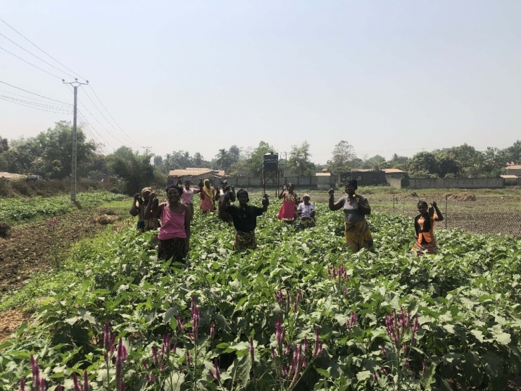 Tika’dan Gineli Kadınlara Tarım Alanında İstihdam