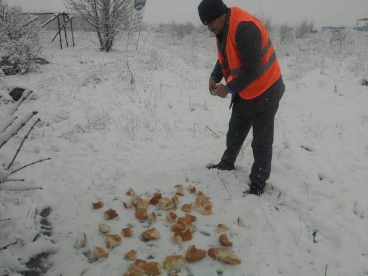 Akşehir’de Kar Temizliği Çalışmaları