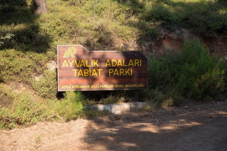 Tabiat Parkı İçin Tek Yürek Oldular