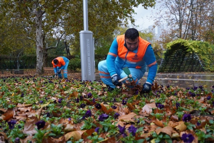 Bahçelerde Kış Bakımı Önerisi