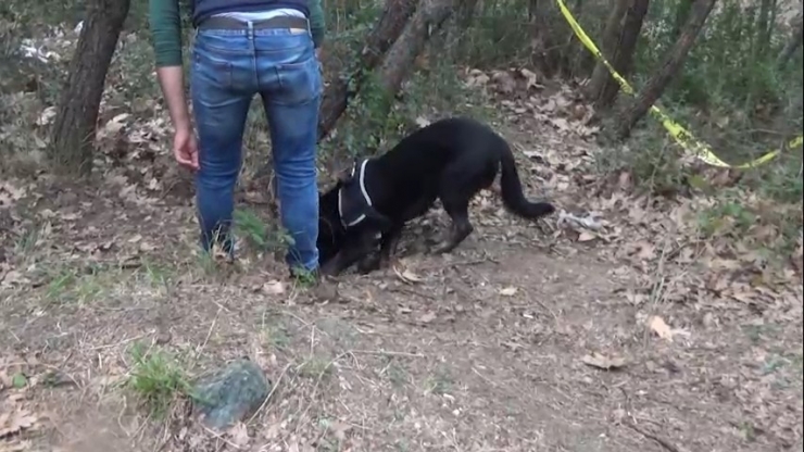 Büyükşehirleri Kana Bulayacaklardı, İşte Böyle Yakalandılar