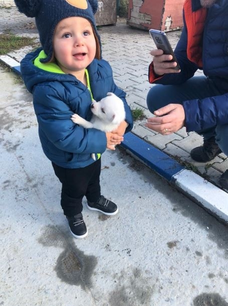 Ergene’de Sokak Hayvanları Sahiplendiriliyor