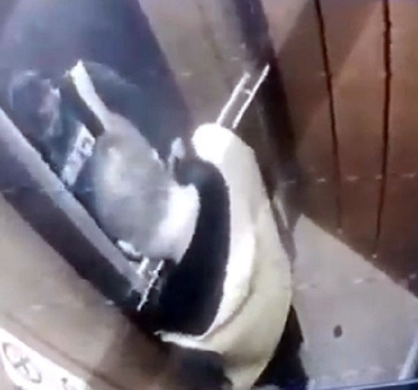 İğrenç İddia, İzmir’de Bir Sucu İdrarını Damacanaya Yaptı