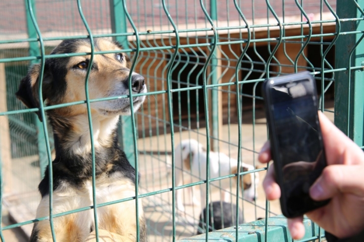 Korkunç Görüntüler Sivas’ta Çekilmemiş