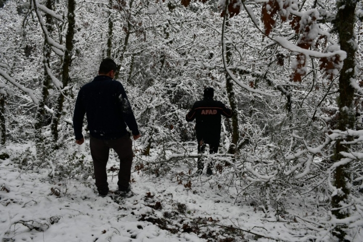 ’Tarlaya Gidiyorum’ Dedi, 2 Gündür Kayıp