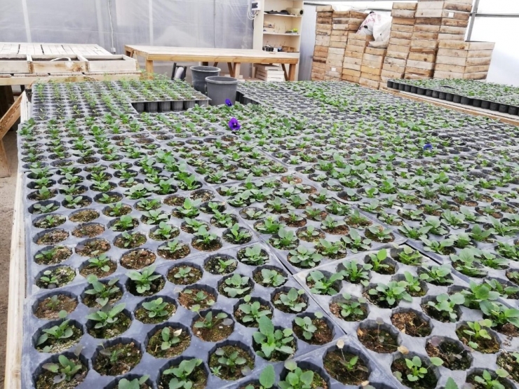 İpekyolu Belediyesi İlkbahara Hazırlanıyor