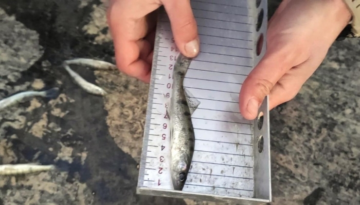 Beyşehir Gölünde Avcılara Denetim