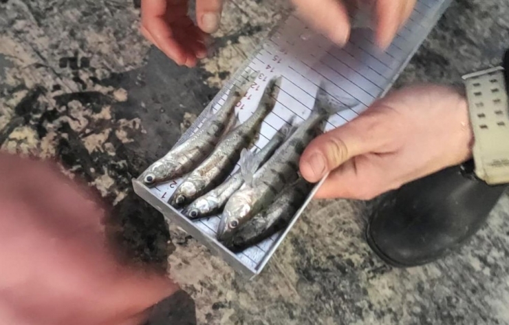 Beyşehir Gölünde Avcılara Denetim