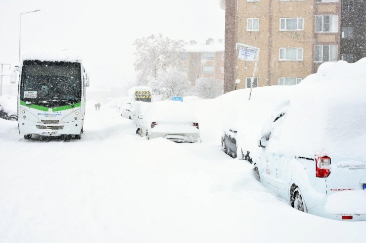 Bitlis’te Kar Esareti