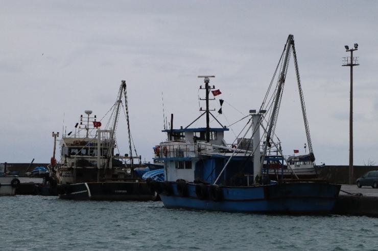 Balıkçı ’Çaça Avcılığı’ İle Ayakta Duruyor