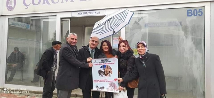 Çorum’da Sokak Hayvanları Aç Kalmasın Kampanya Başlatıldı
