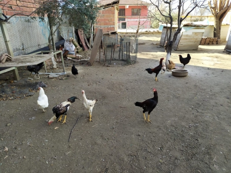 Jasat Timine Uyuşturucu Satmaya Çalışan Şahıs Tutuklandı