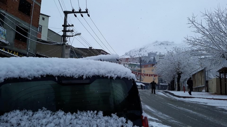 Kulp’ta Kar Yağışı Hayatı Olumsuz Etkiledi