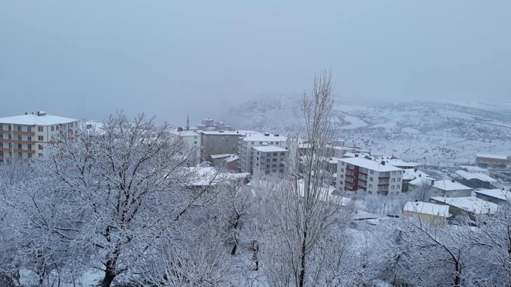 Kulp’ta Kar Yağışı Hayatı Olumsuz Etkiledi