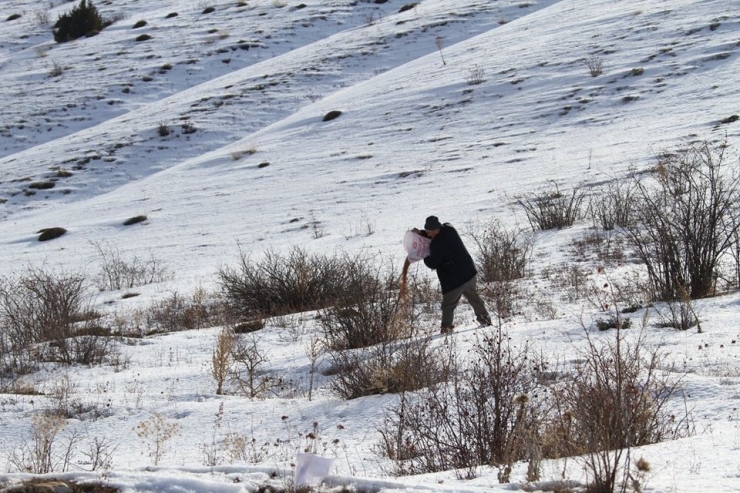 Dkmp Yemleme Çalışmalarını Sürdürüyor