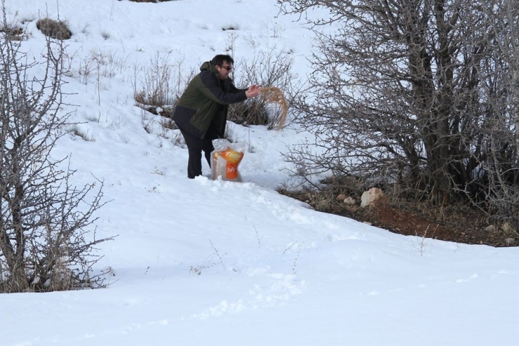 Dkmp Yemleme Çalışmalarını Sürdürüyor